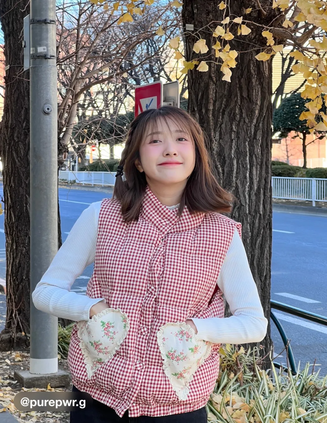 Stand Collar Gingham Floral Heart Oversized Puffer Vest